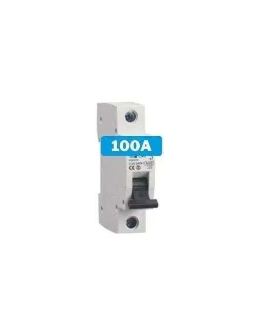 Interruptor magnetotèrmic 100A 1 pol