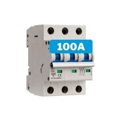 Interruptor magnetotèrmic 100A 3 pols